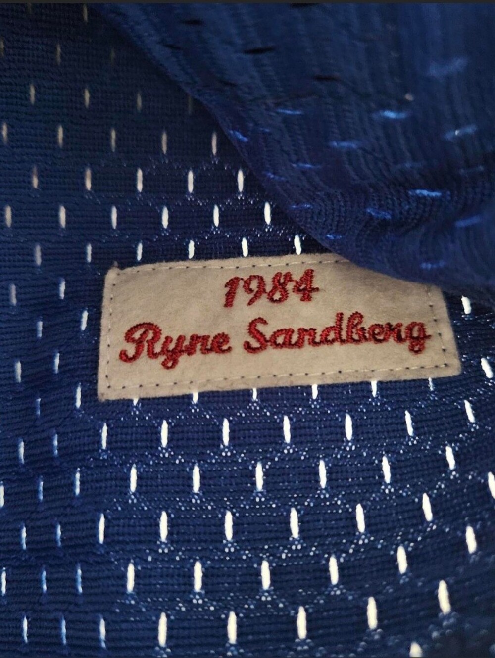 Mitchell & Ness Ryne Sanberg Chicago Cubs Blue Mesh Kids Jersey Top 7 - Picture 4 of 7